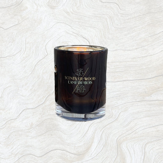 Oud in Acacia Candle